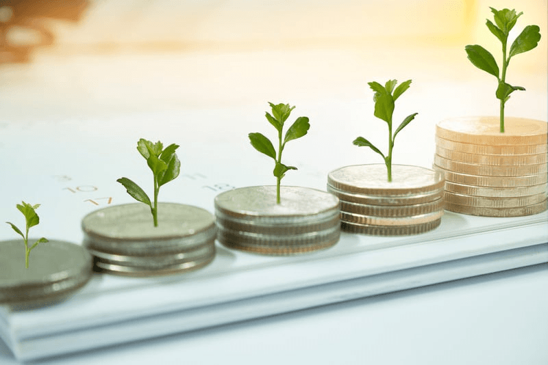 Finance illustration with coins and plants